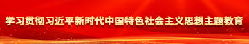 小屄夹巨屌学习贯彻习近平新时代中国特色社会主义思想主题教育